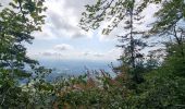 Tour Wandern Rüttenen - Weissenstein - Photo 1