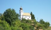 Excursión A pie Sankt Martin im Sulmtal - Genusstour - Photo 1