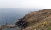 Randonnée Marche Cerbère - les aloès. cerbère . coll dells belitres (espagne) . cap cerbère . cerbère. les aloès   - Photo 19