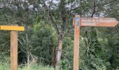 Randonnée Marche Saint-Lary-Soulan - AZET : Pla d’Ourtigué en boucle - Photo 4