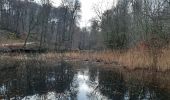 Tocht Stappen Watermaal-Bosvoorde - Forêt de Soignes - Photo 5