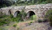 Tocht Stappen Roquebrune-sur-Argens - SityTrail - Les 25 ponts-Roquebrune sur Argens-28-01-22 - Photo 6