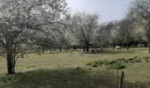 Tocht Stappen Esneux - parc du mary . targnon . retour  - Photo 5