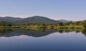 Percorso Marcia Le Cannet-des-Maures - Boucle autour du Lac des Escarcets - Photo 11