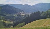 Tour Wandern Ottenhöfen im Schwarzwald - Karlsruher Grat  - Photo 19