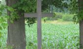 Tour Zu Fuß Viersen - Anrath Rundwanderweg Quadrat - Photo 10