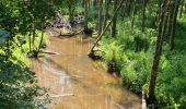 Randonnée Marche Manhay - Moulin de Lafosse - Photo 2