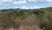 Trail Walking Les Anses-d'Arlet - Galoche - Esperance - Photo 2