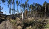 Randonnée A pied Chotoviny - [Ž] U Obrázku - Sudoměřice - Chotoviny - Photo 4