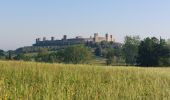 Trail Walking Monteriggioni - CR_Francigena_DE_41_Monteriggioni_Siena_20230523 - Photo 9