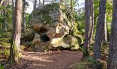 Trail Walking Fontainebleau - Sentier Denecourt 8 8-8 - Photo 13