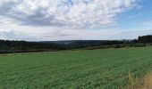 Tour Wandern Bouillon - Curfoz- moulin de l'épine-Curfoz - Photo 12