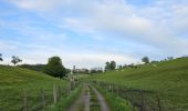 Trail Walking Blegny - Blegny et ses campagnes 🥾 - Photo 4
