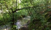 Trail Walking Havelange - Bois, Rivière et champs - Photo 16