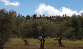 Excursión Senderismo Κοινότητα Μορονίου - Balade à Panagia (Rother n°45) - Photo 13