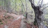 Trail Walking Sprimont - banneux couvent des sœurs franciscaines . parc à gibier goulag des animaux . adzeux . banneux / marche adeps 15km    - Photo 14