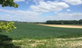 Randonnée Marche Binche - 35.912 Binche - Chemin des Terrils - Photo 7