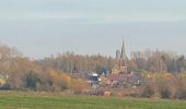 Tocht Stappen Opzullik - Graty - bois d’Enghien - Graty - Photo 2