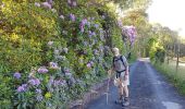 Tour Wandern Chaumont-Gistoux - 2020-05-28 Rando IR204 Dion le Val 22 km - Photo 12