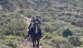 Tocht Paardrijden Bardenas Reales de Navarra - Bardenas jour 4 - Photo 4