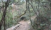 Trail Walking Saint-Zacharie - Sources des Nayes  - Photo 8