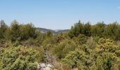 Trail Walking Caromb - Lac de Paty - Photo 6