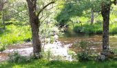 Tour Wandern Termes - Termes Aumont aubrac - Photo 1