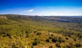 Trail Walking Saint-Laurent-de-la-Cabrerisse - Saint-Laurent-de-la-Cabrerisse - Le cirque de Vivies - Photo 1