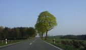 Tocht Te voet Radevormwald - Uelfe Rundweg A2 - Photo 4