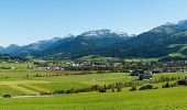 Trail On foot Gemeinde Kirchdorf in Tirol - Wanderweg 9 - Niederkaiser - Photo 8