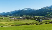 Percorso A piedi Gemeinde Kirchdorf in Tirol - Wanderweg 9 - Niederkaiser - Photo 8