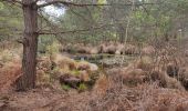 Tocht Stappen Fontainebleau - 25 avril - Photo 3