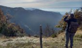 Tour Wandern Léoncel - Pierre Chauve-Pas de St Vincent- Pas de Touet - Photo 9