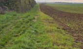 Trail Walking Amponville - Amponville - Dolmen dit la Pierre Larmoire - Photo 8