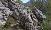 Randonnée Marche La Roquebrussanne - la montagne de la Loube - Photo 8