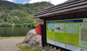 Tour Wandern Rimbach bei Masmünster - 2020-07-07 Les lac des Neuweiher et le lac des perches - Photo 7