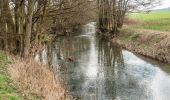 Tour Zu Fuß Themar - Themar-Rundwanderweg Grün - Photo 4