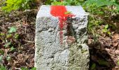 Tocht Te voet Neuchâtel - Neuchâtel Cadolles - Ch. de la Châtelainie - Photo 1