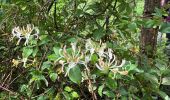 Trail Walking Rendeux - Marcouray - Photo 17