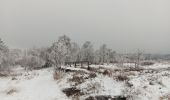 Randonnée Marche Spa - entre fagne et bois - version courte - Photo 7