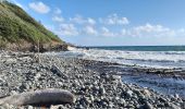 Randonnée Marche Le Lorrain - Boucle Vallon - Morne-Bois - Seguineau - Photo 4