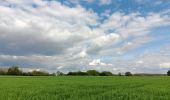 Randonnée Marche Riemst - autour de Kanne et St Pietersberg  - Photo 16