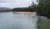 Tour Wandern Sainte-Anne - grand parcours de randonnée autour du bourg de St Anne.  - Photo 18