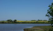 Tour Zu Fuß Nieby - KonikWeg - Photo 2