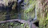 Tour Wandern Santana - Madère : Caldeirao Verde puis Caldeirao do Inferno - Photo 15