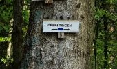 Excursión Senderismo Wangenbourg-Engenthal - ARCA WANGENBOURG - Photo 4