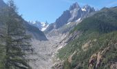 Excursión Senderismo Chamonix-Mont-Blanc - Buvette du Chapeau et Tête des Prapators 1844m - Photo 5