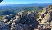 Tour Wandern Fréjus - Mont Vinaigre depuis Colle Douce - Photo 6