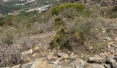 Trail Walking el Port de la Selva - sensei34270 - Photo 9