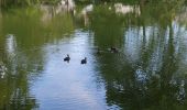 Randonnée Marche Palaiseau - Les forêts de St Aubin et d'Aigrefoin - Photo 9